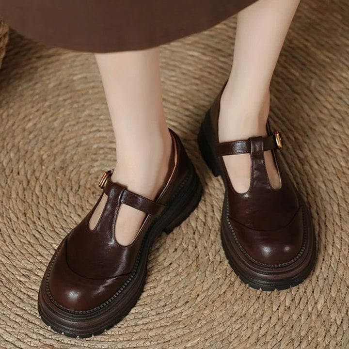 Blythe T-bar mary jane shoes in brown, side profile showing adjustable buckle strap and low heel