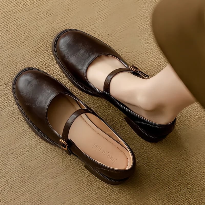 Eleanor low block heel mary jane shoes in brown styled with a midi dress