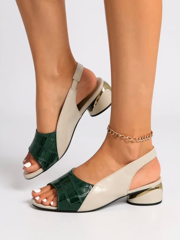 Flat lay of Garnet women's slingback sandals in all four colors: black, brown, red, and green
